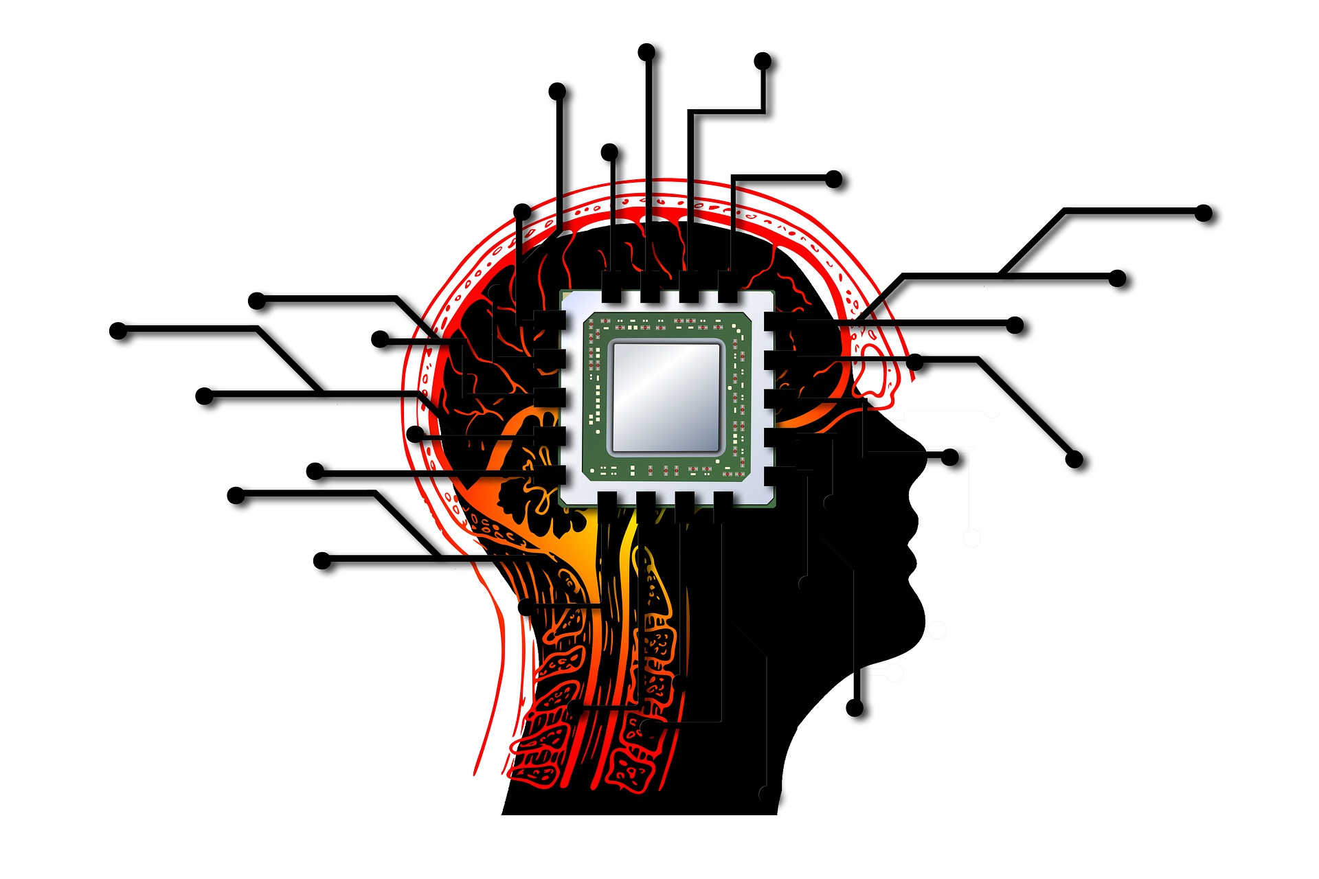 Neuralink Chip Brain Computer Interface
